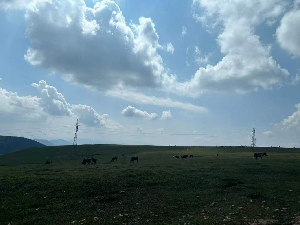 風(fēng)電新顏，晨虹醇酸調(diào)和漆打造綠色能源之美